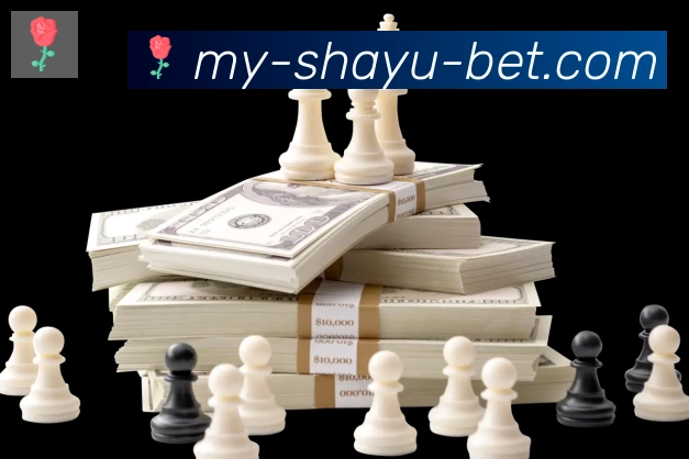 金牌平台